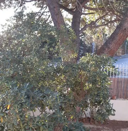 Le Mas Palegry Chambres D'hotes Avec Vue Sur Jardin Bed & Breakfast Perpignan